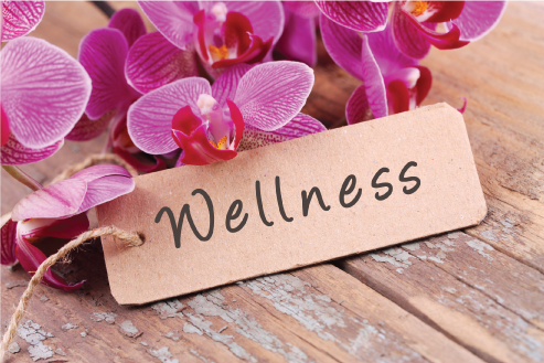 Wellness image for Personalise Your Journey blog